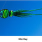 Kite Day