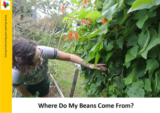 Where Do My Beans Come From?